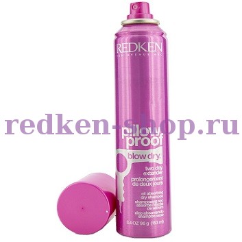 Redken Pillow Proof Blow Dry Two Day Extender     153 