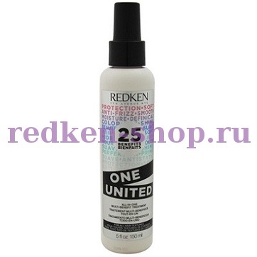Redken One United All in One Multi-Benefit Hair Treatment For All Hair Textures  150 